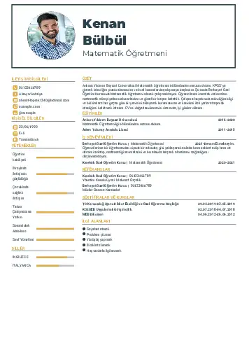 cv indir